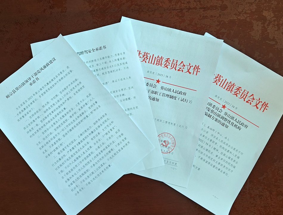 （以制度建設(shè)補足作風(fēng)短板）承諾書、管理制度及調(diào)整優(yōu)化機構(gòu)編制方案.jpg